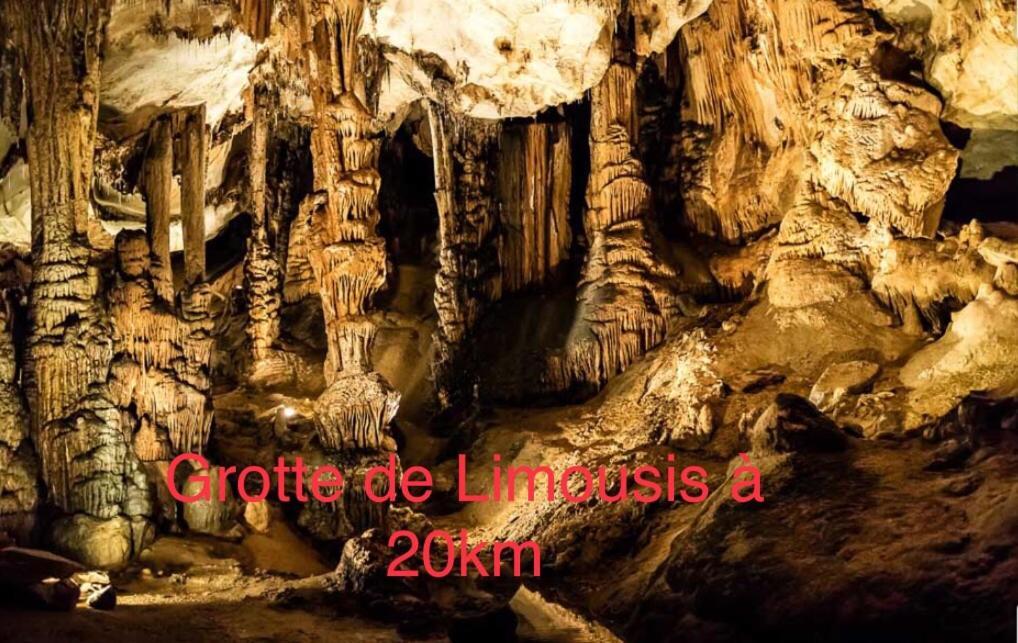 卡尔卡松Les Iris公寓 外观 照片